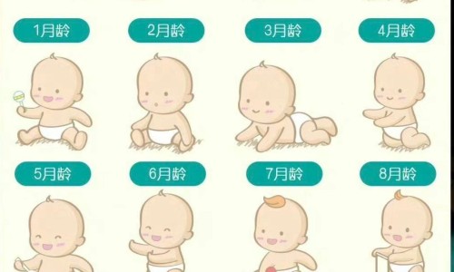 有什么可以带娃一块玩的场所或运动项目-有什么带孩子可以做的工作-有什么事情可以带着婴儿一起做的事情,中国有什么事情可以带着婴儿一起做的网站