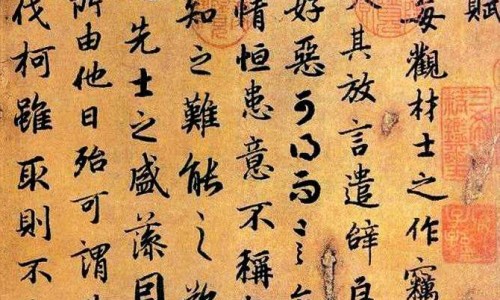 有什么可以带娃一块玩的场所或运动项目-有什么带孩子可以做的工作-有什么事情可以带着婴儿一起做的事情,中国有什么事情可以带着婴儿一起做的网站