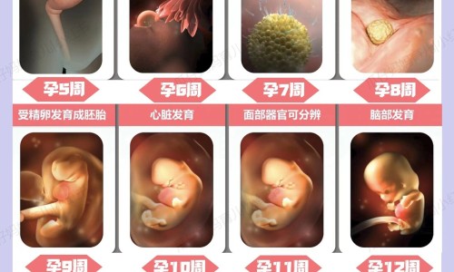 有什么带孩子可以做的工作-有什么事情可以带着婴儿一起做的事情,中国有什么事情可以带着婴儿一起做的网站