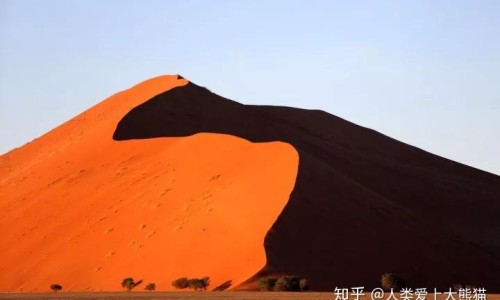有什么带孩子可以做的工作-有什么事情可以带着婴儿一起做的事情,中国有什么事情可以带着婴儿一起做的网站